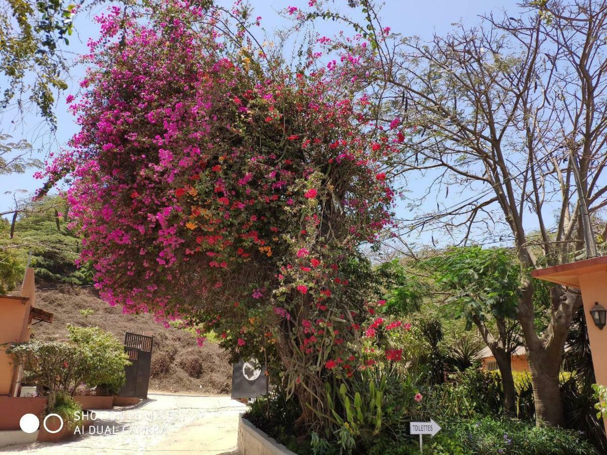 Union Amicale Corse Dakar Otel Dış mekan fotoğraf